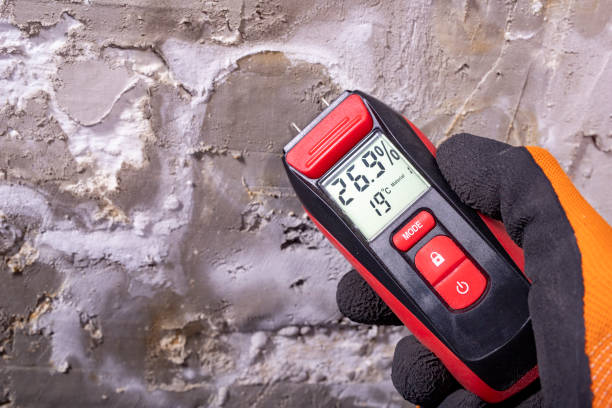 Best Mold Removal Near Me  in Montclair, CA