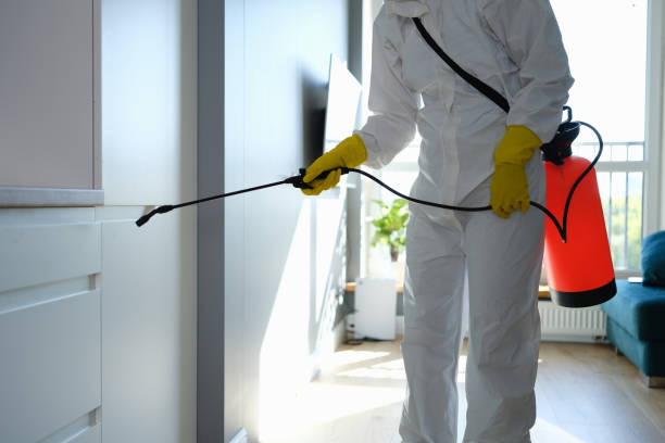 Best Mold Testing  in Montclair, CA