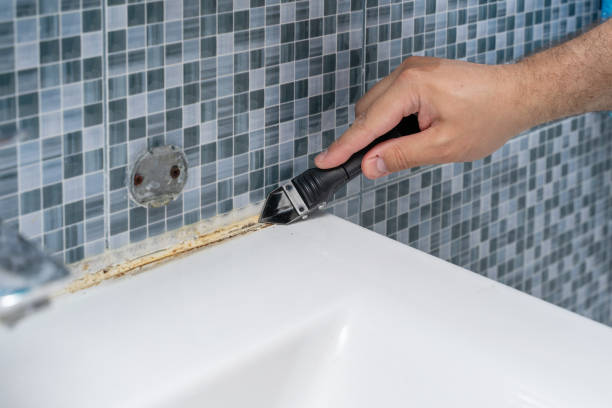 Best Best Mold Removal Companies  in Montclair, CA