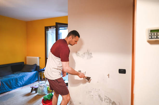 Best Commercial Mold Removal  in Montclair, CA